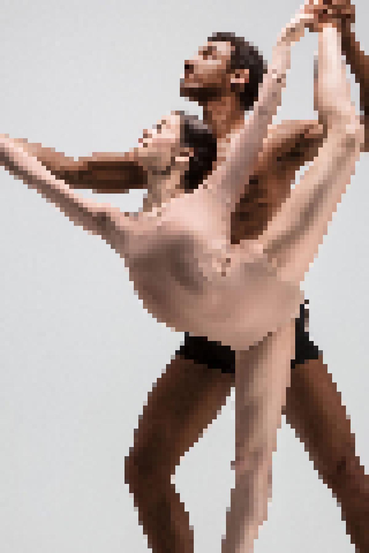 American Dance Institute Supports Expansion of CityDance into Rockville Facility